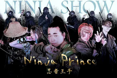 Ninja Prince