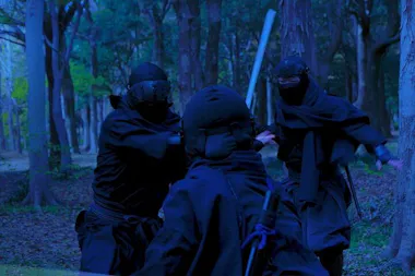 Ninja Prince
