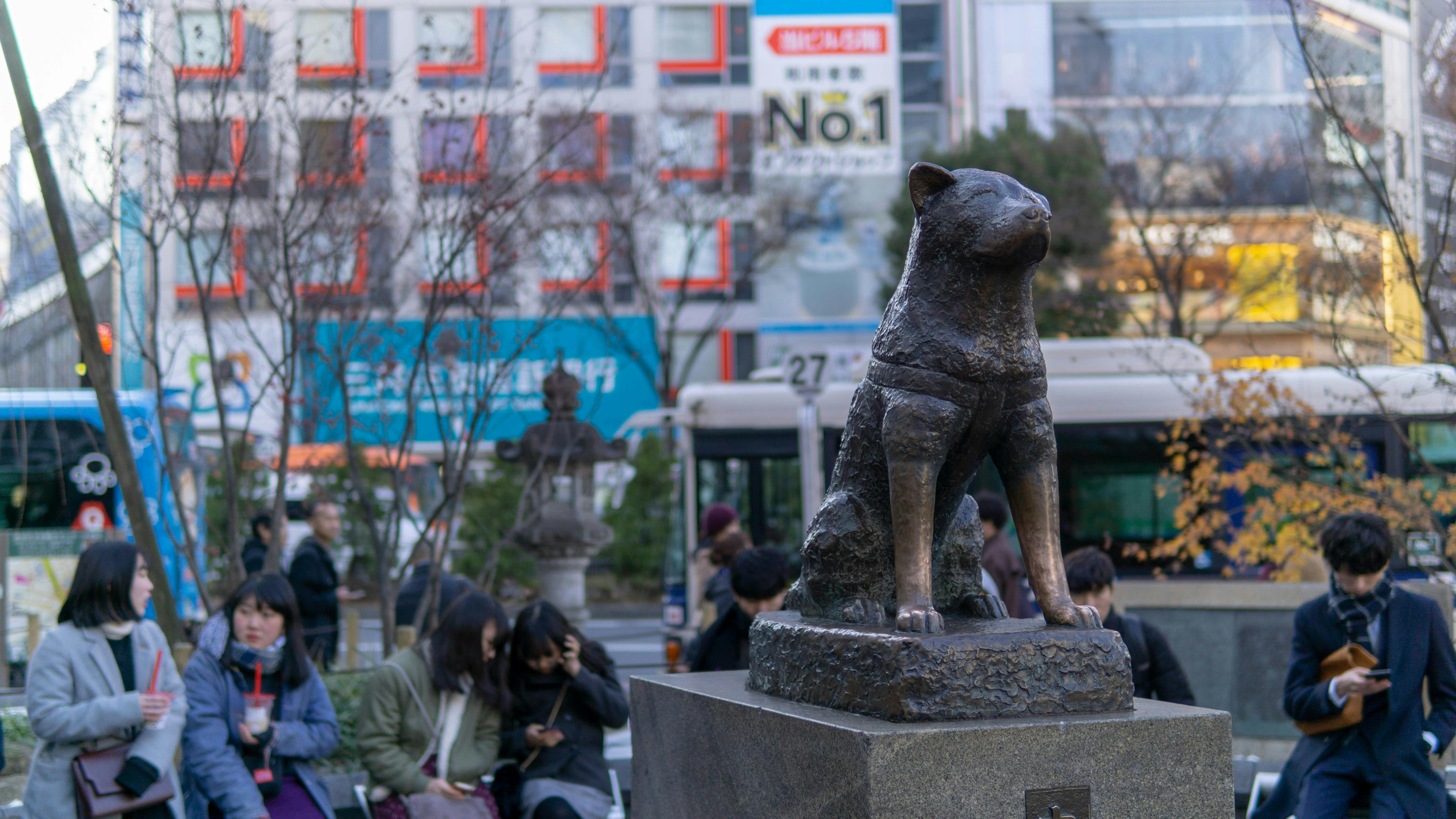A bronze statue of a dog sits on a pedestal outdoors, surrounded by people sitting and walking. City buildings, signs, trees, and a bus are visible in the background.