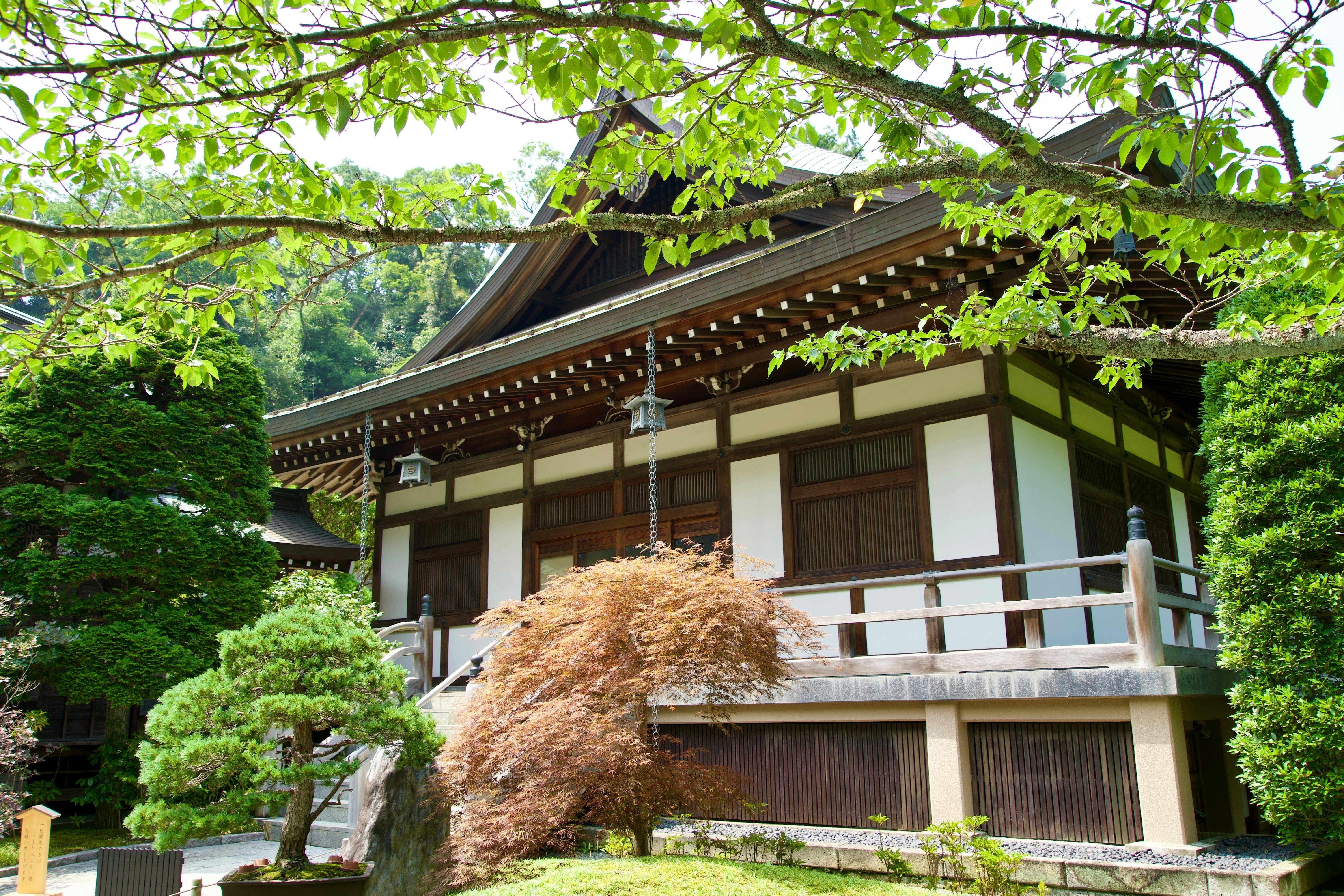 A traditional Japanese wooden temple with a sloped roof, surrounded by lush green trees and shrubs on a sunny day. The scene is peaceful and serene, with vibrant foliage framing the building.
