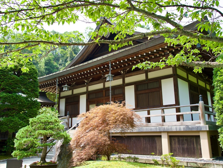 镰仓 Tours & Attractions - Trip To Japan