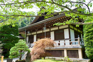 A traditional Japanese wooden temple with a sloped roof, surrounded by lush green trees and shrubs on a sunny day. The scene is peaceful and serene, with vibrant foliage framing the building.
