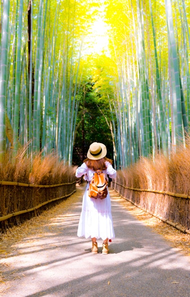 Arashiyama Bamboo Grove Arashiyama Bamboo Grove