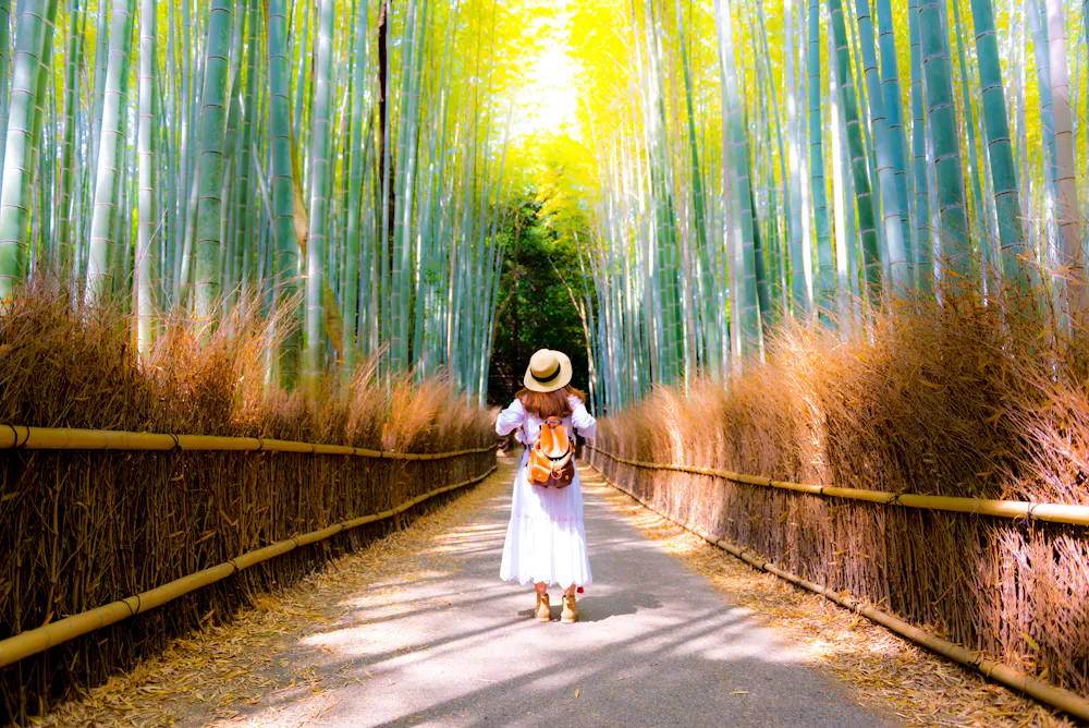 Arashiyama Bamboo Grove