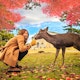 Nara Park Nara Park