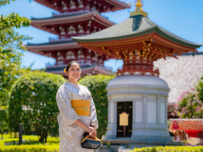 Private Kappabashi Cooking Tool Street and Asakusa Walking Tour with Master Guide