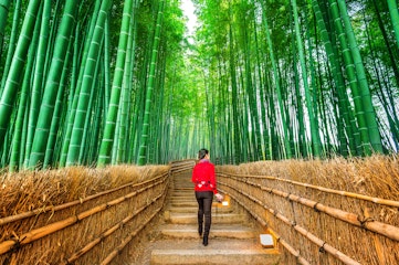 Arashiyama Bamboo Grove
