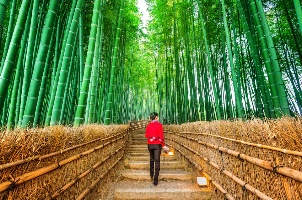 Arashiyama Bamboo Grove
