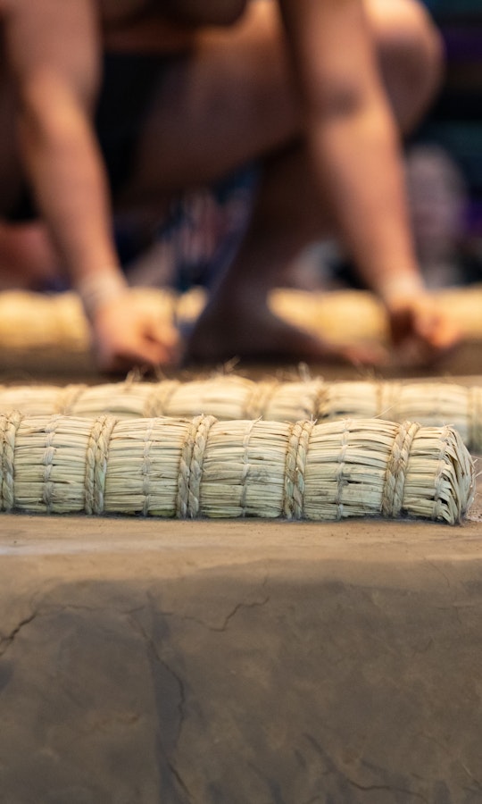 Full-Day Unique Sumo Experience in Katsuragi, Nara - Trip To Japan