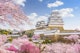 Himeji Castle