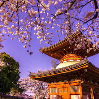 Kawagoe City Kawagoe City