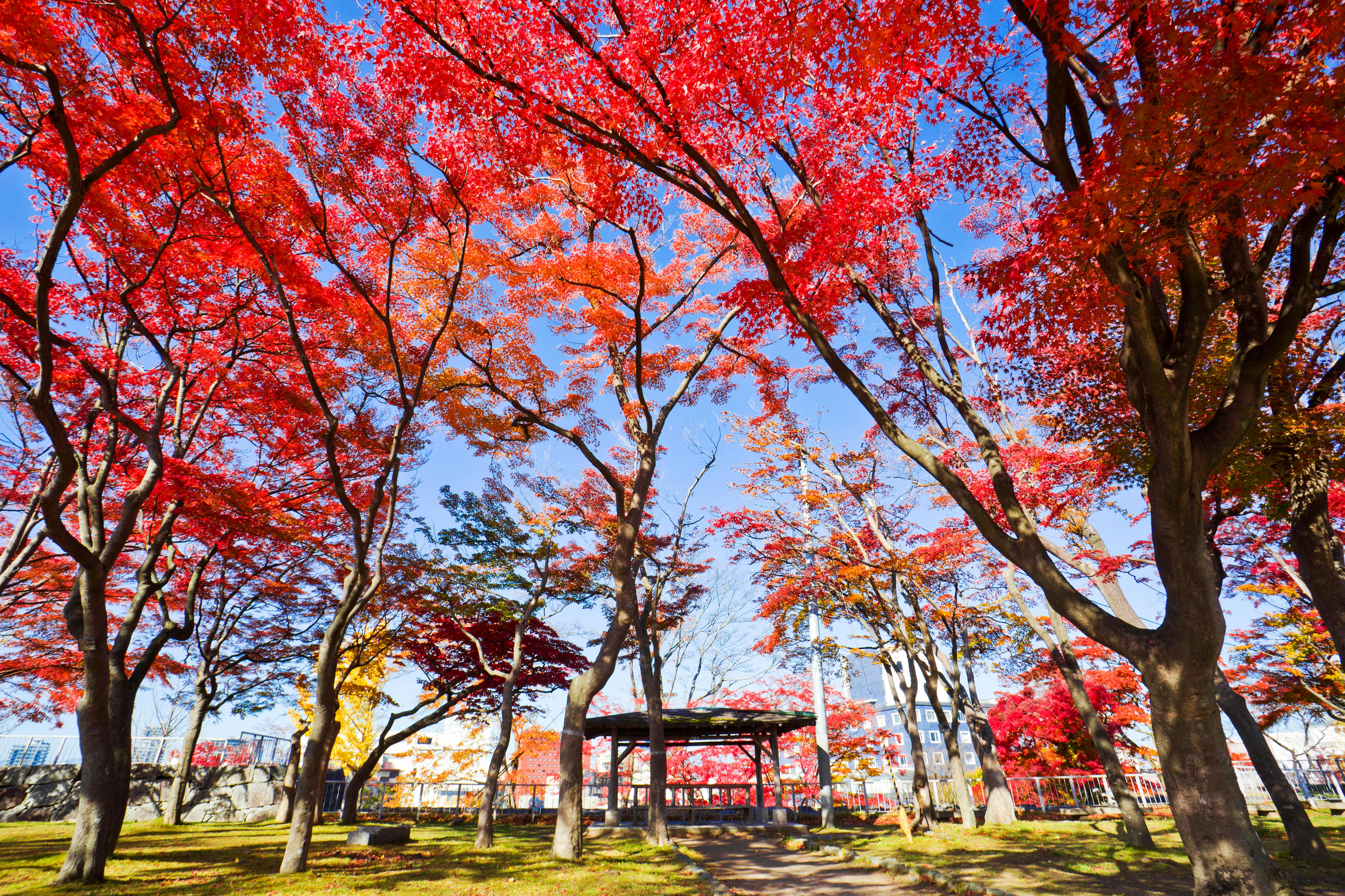 Morioka Castle Ruins Park