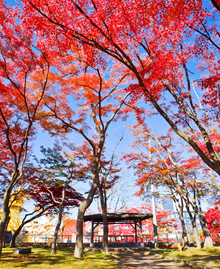 Morioka Castle Ruins Park Morioka Castle Ruins Park