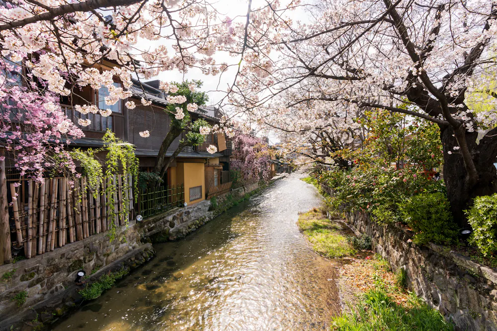 Gion Shirakawa River