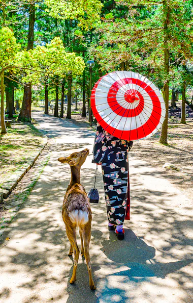 Nara Kimono Rental Nara Kimono Rental