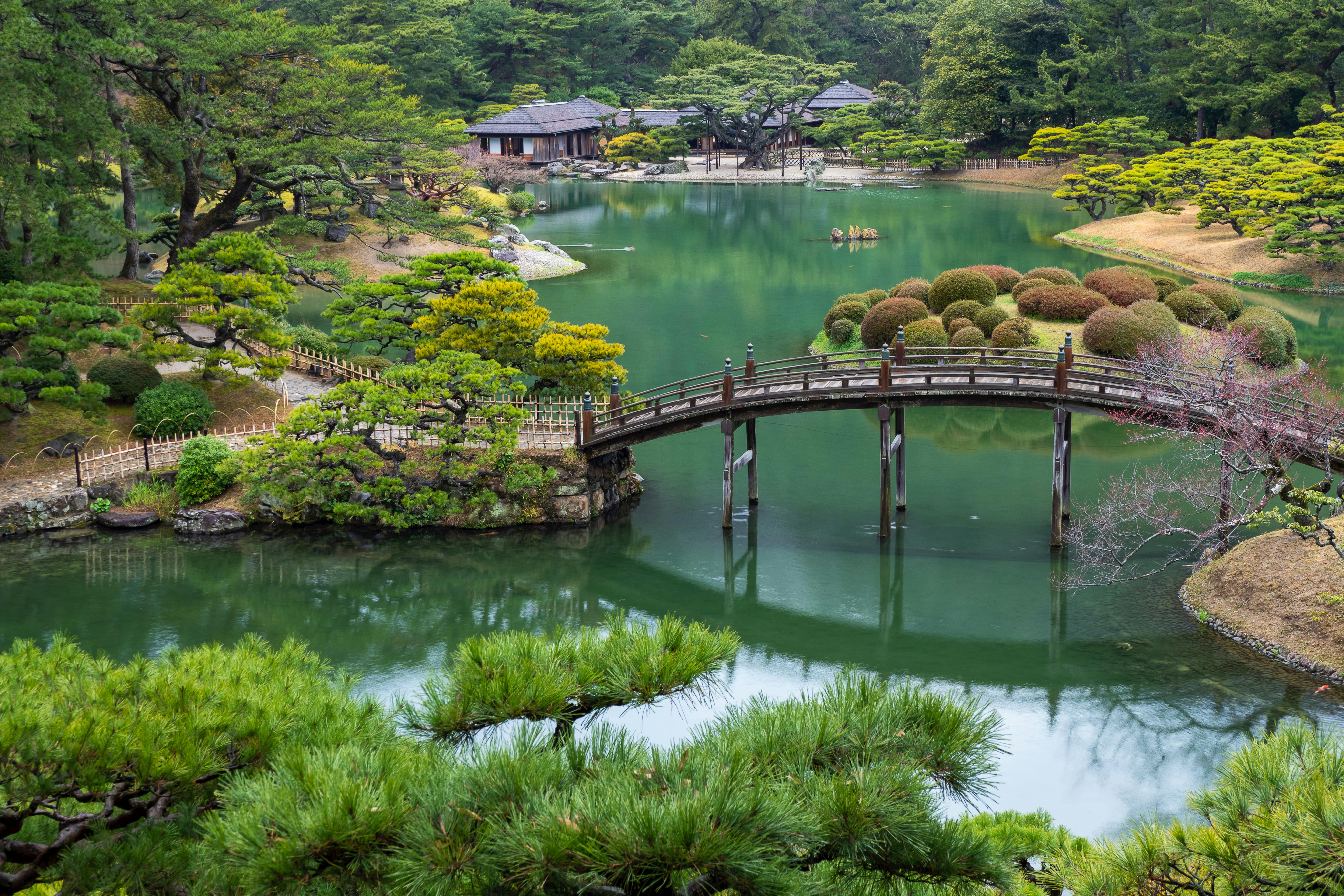 A traditional wooden bridge arches over a tranquil pond surrounded by manicured trees and shrubs in a serene Japanese garden, with wooden buildings visible in the background.