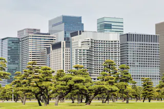 Modern city skyscrapers rise behind a foreground of neatly trimmed pine trees and grassy parkland, blending urban architecture with natural greenery under a bright, cloudy sky.