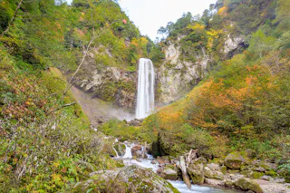 A tall waterfall cascades down a rocky cliff surrounded by lush green and autumn-colored trees, with a stream flowing over rocks in the foreground under a bright sky.