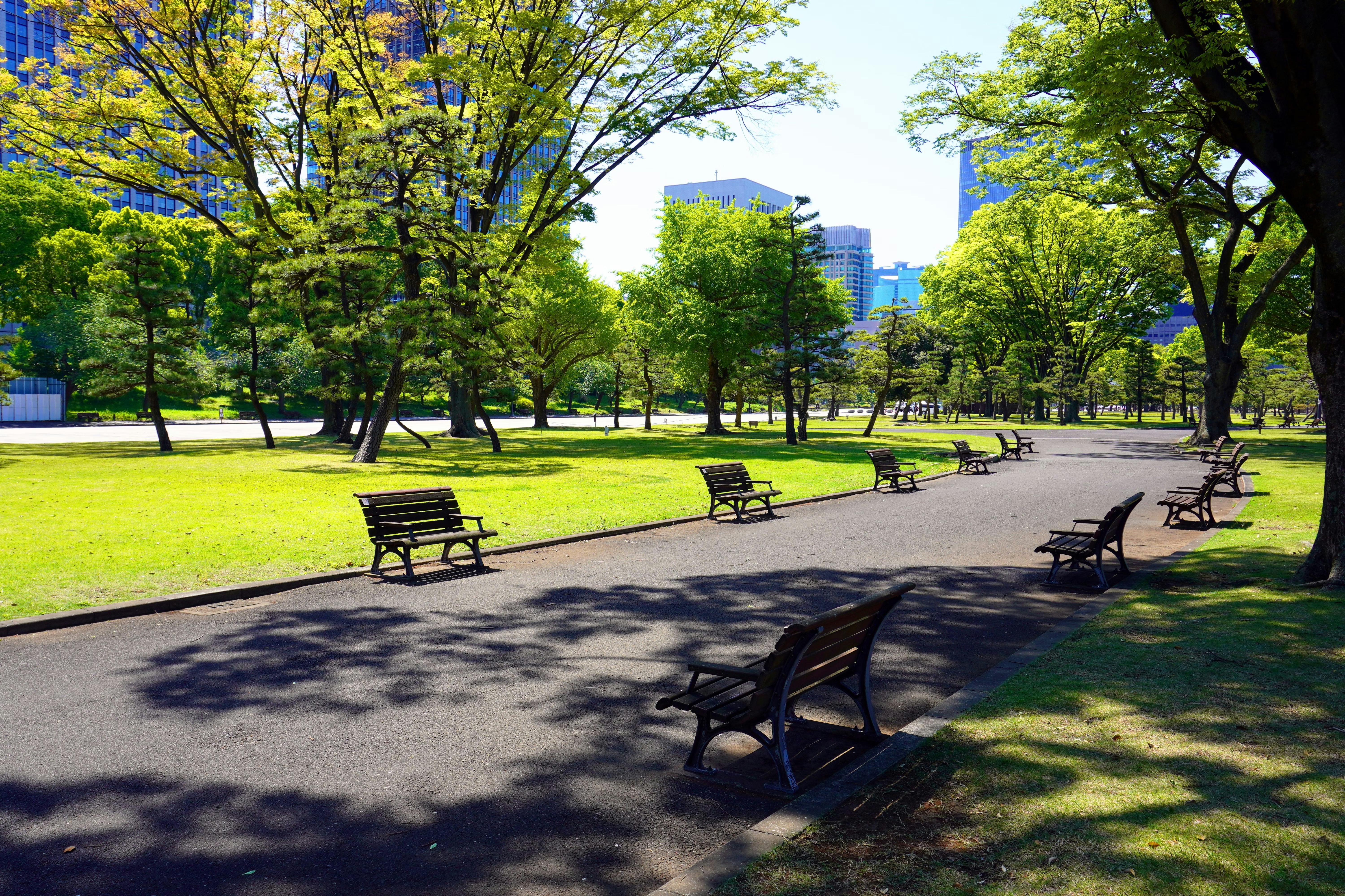 A sunny park with rows of empty wooden benches along a paved path, surrounded by green grass and tall leafy trees. City buildings are visible in the background under a clear blue sky.