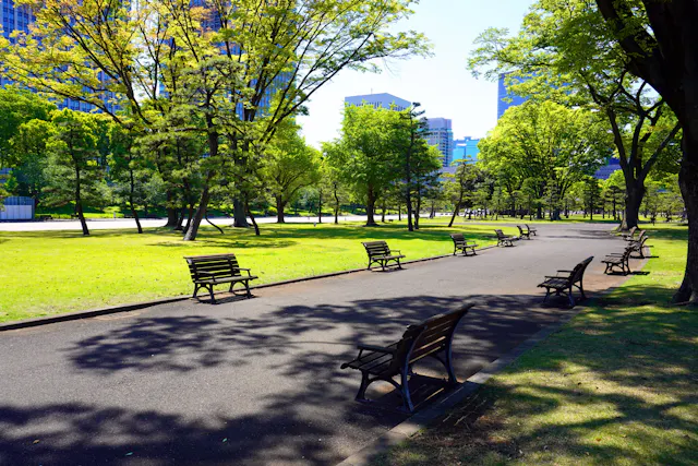 A sunny park with rows of empty wooden benches along a paved path, surrounded by green grass and tall leafy trees. City buildings are visible in the background under a clear blue sky.
