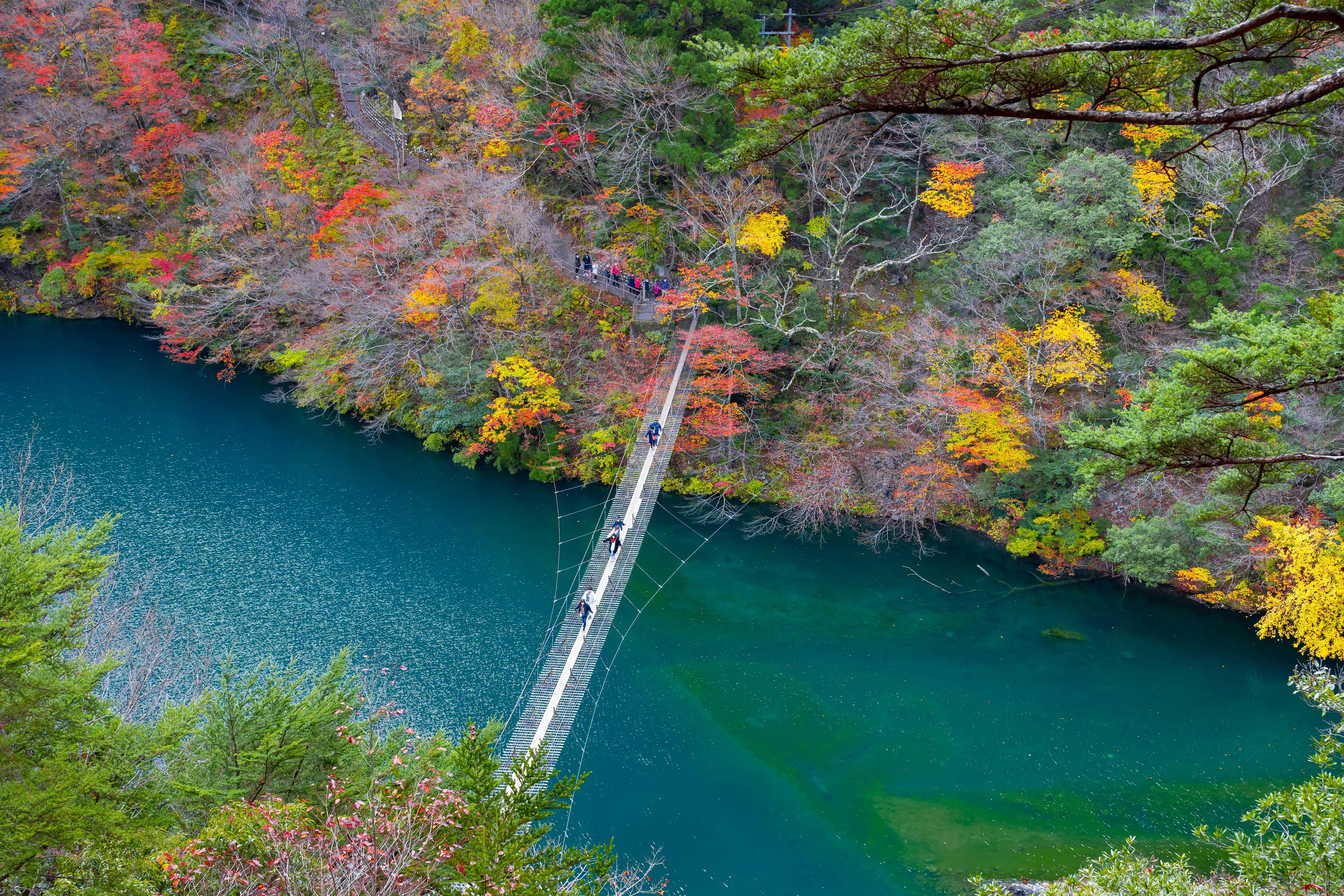 Yume no Tsuribashi Suspension Bridge
