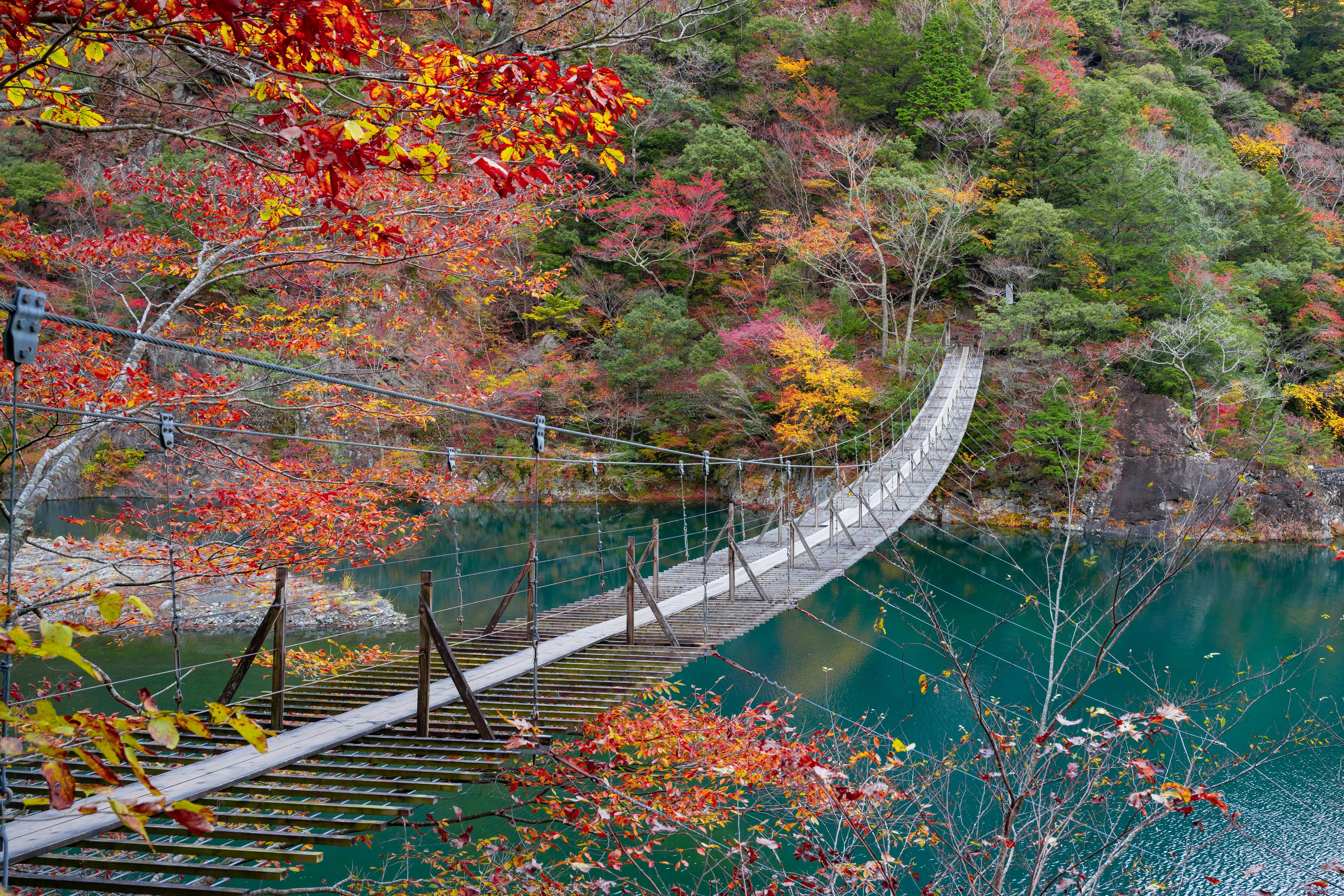 Yume no Tsuribashi Suspension Bridge