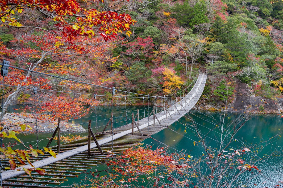 Yume no Tsuribashi Suspension Bridge - Trip To Japan