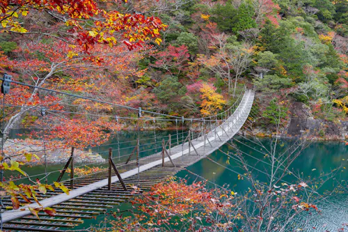 Yume no Tsuribashi Suspension Bridge