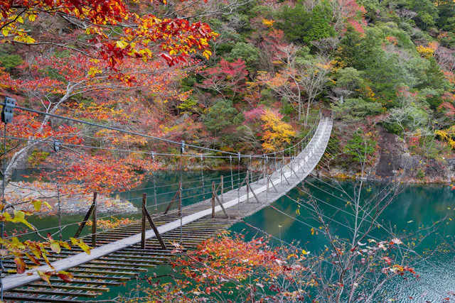 Yume no Tsuribashi Suspension Bridge