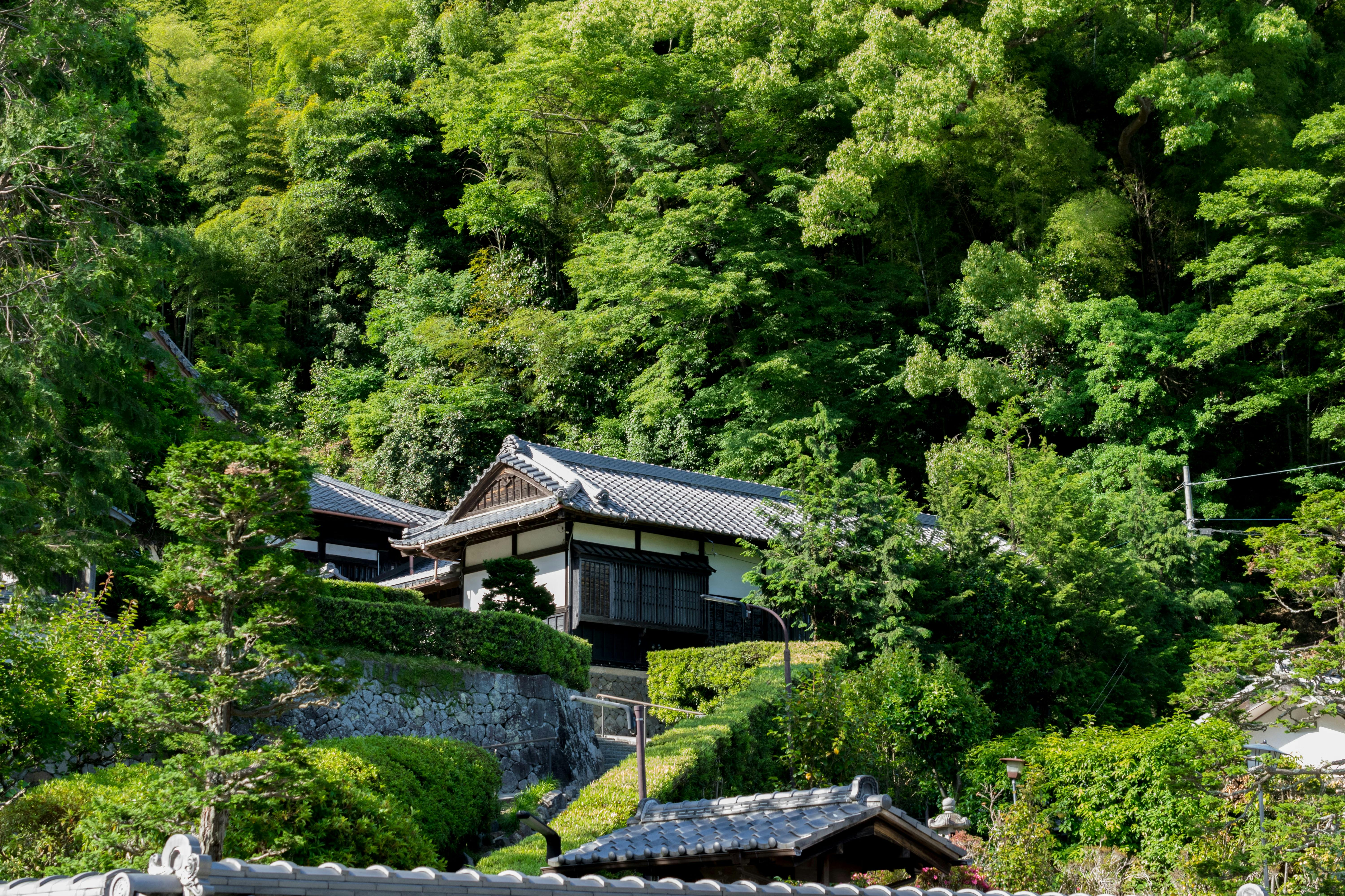 Traditional Japanese houses with tiled roofs are nestled among lush green trees on a hillside, with stone walls and manicured bushes in the foreground under bright sunlight.