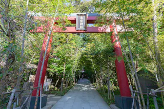 A red torii gate stands at the entrance of a shaded stone pathway, surrounded by lush green bamboo and trees, leading into a Japanese shrine.