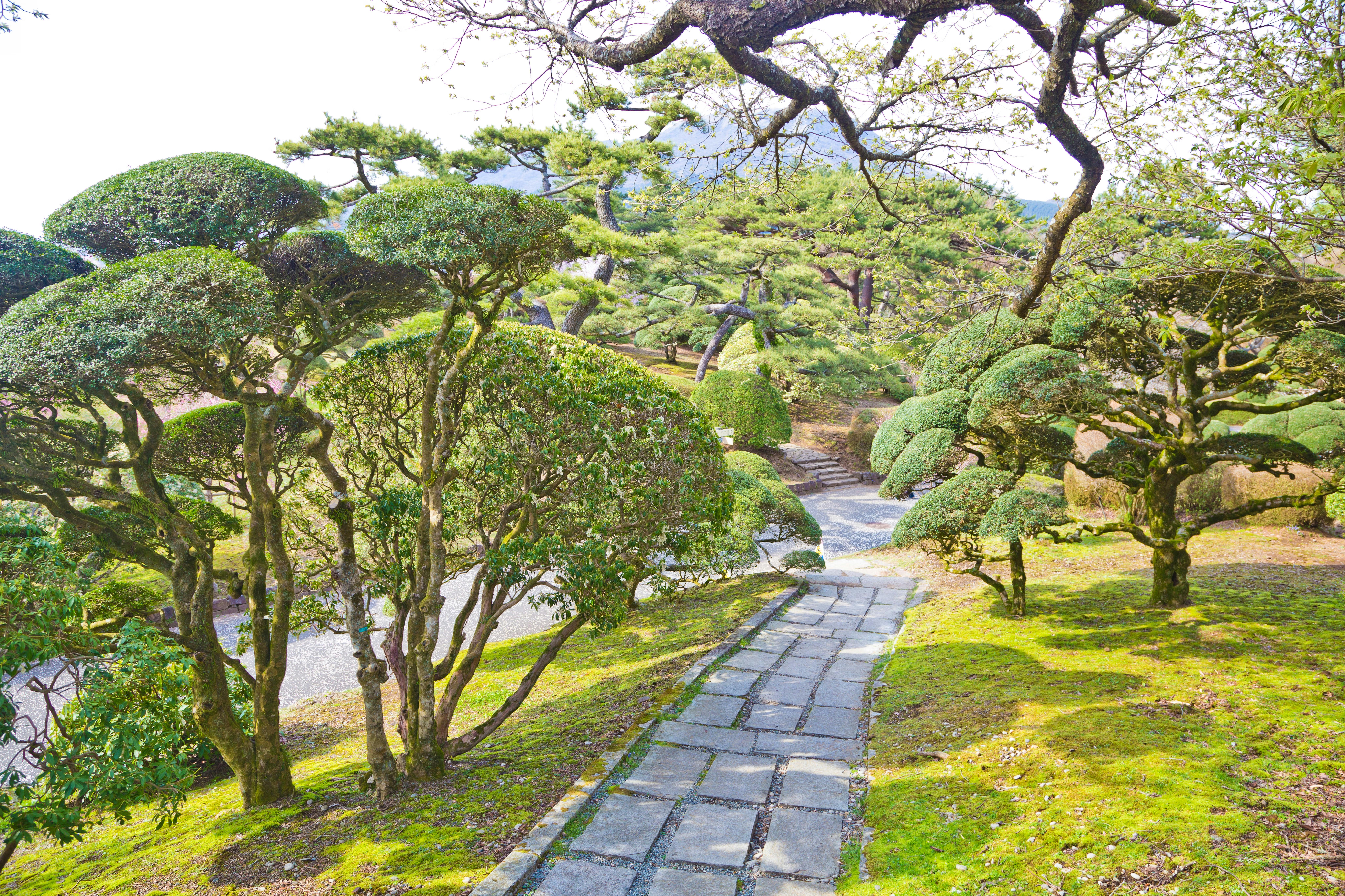 A stone pathway curves through a tranquil Japanese garden, surrounded by manicured trees and greenery under soft sunlight. The scene is peaceful and well-maintained, evoking a sense of calm.