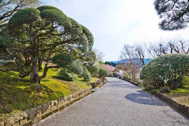 Detached Palace Garden