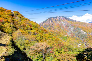 A cable car ascends a forested mountain covered in vibrant autumn foliage, with another mountain peak in the background under a clear blue sky.