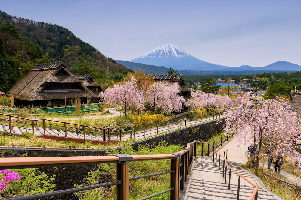 Saiko Iyashi-no-Sato Nenba