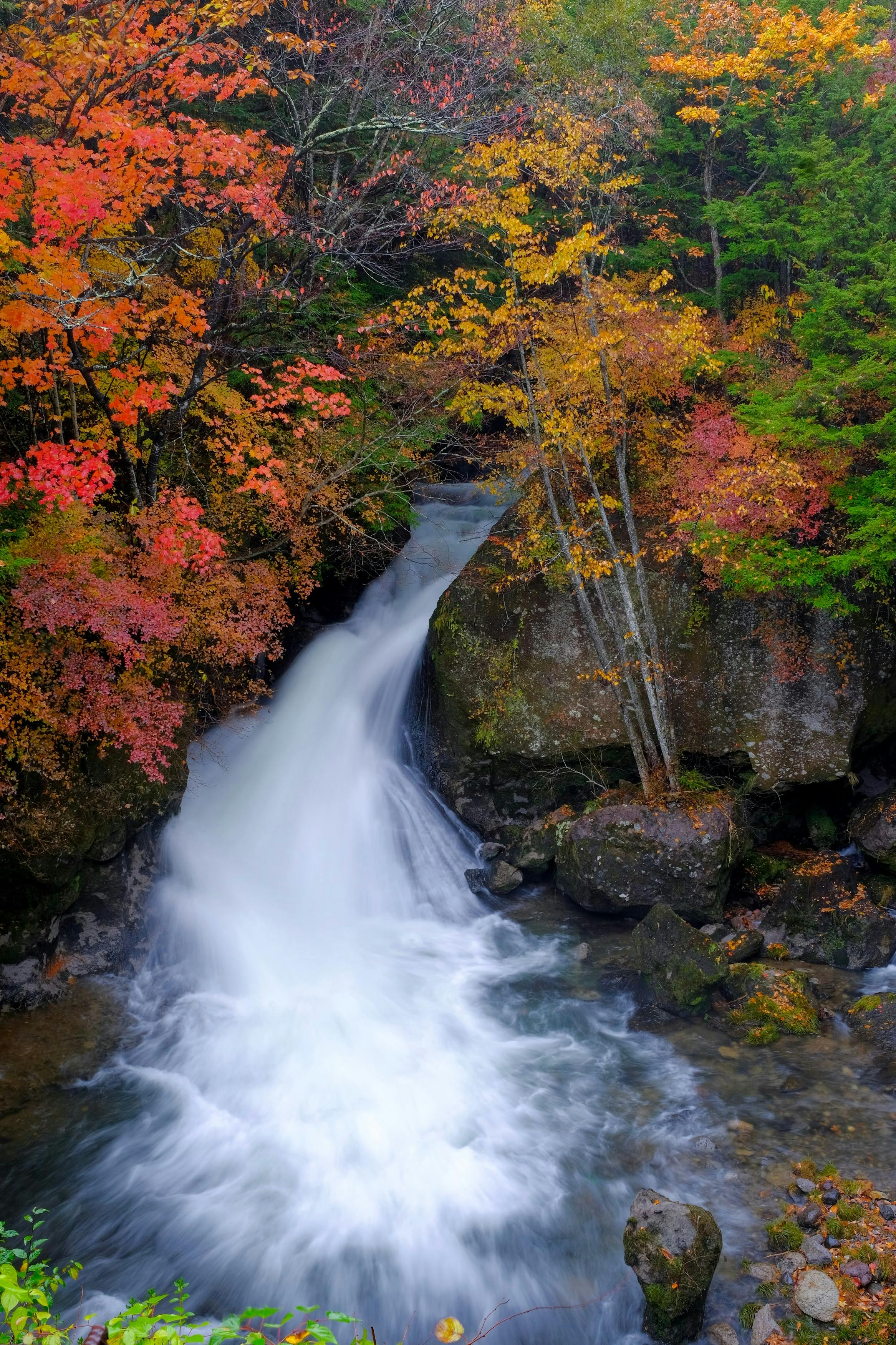 A small waterfall cascades over rocks surrounded by vibrant autumn trees with red, orange, and yellow leaves. The water flows into a clear stream, creating a tranquil forest scene.