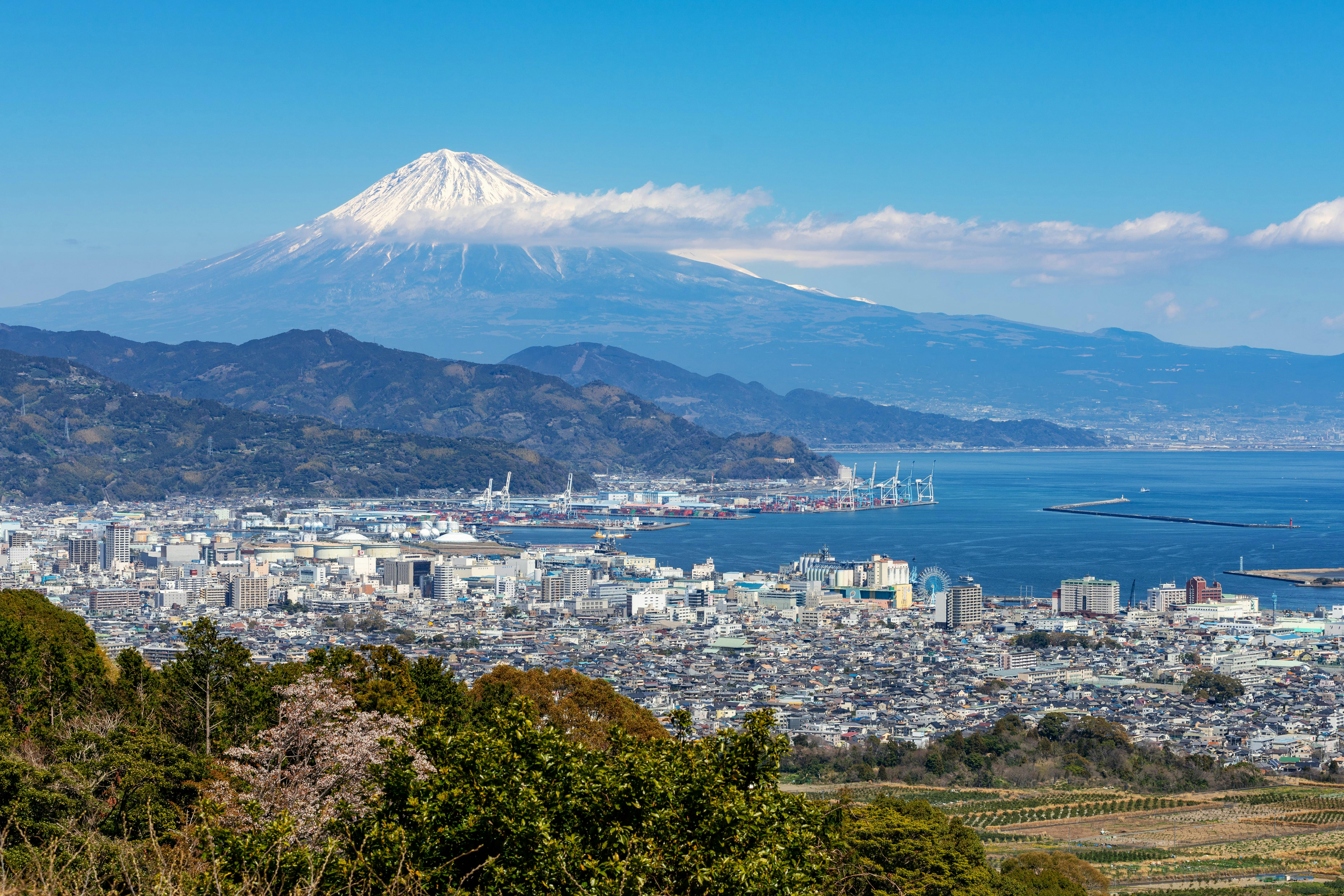 A scenic view of a city by the sea with Mount Fuji in the background, its snow-capped peak rising above green hills under a clear blue sky.