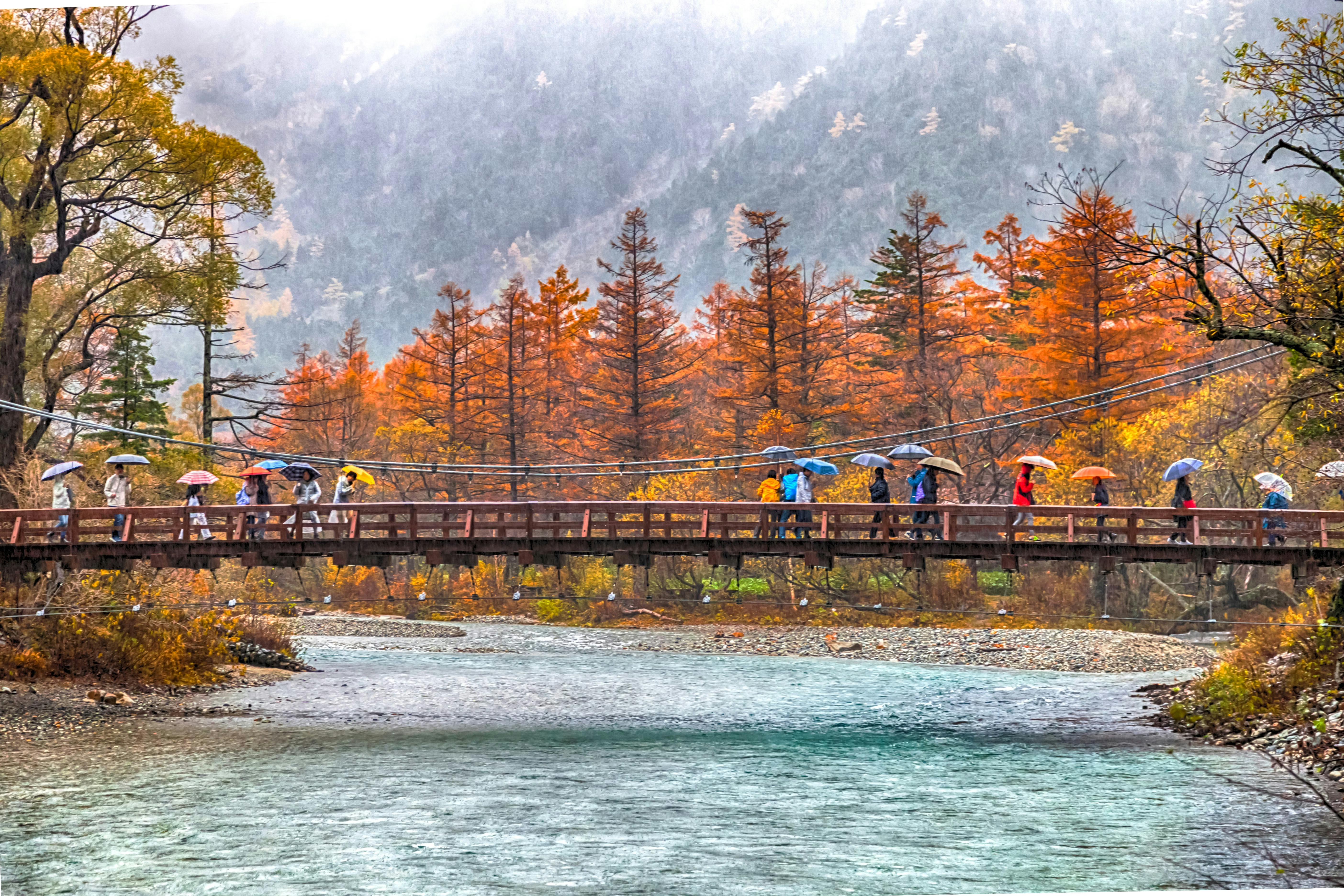 People with umbrellas cross a wooden suspension bridge over a river, surrounded by autumn trees with orange and yellow leaves, and misty mountains in the background.