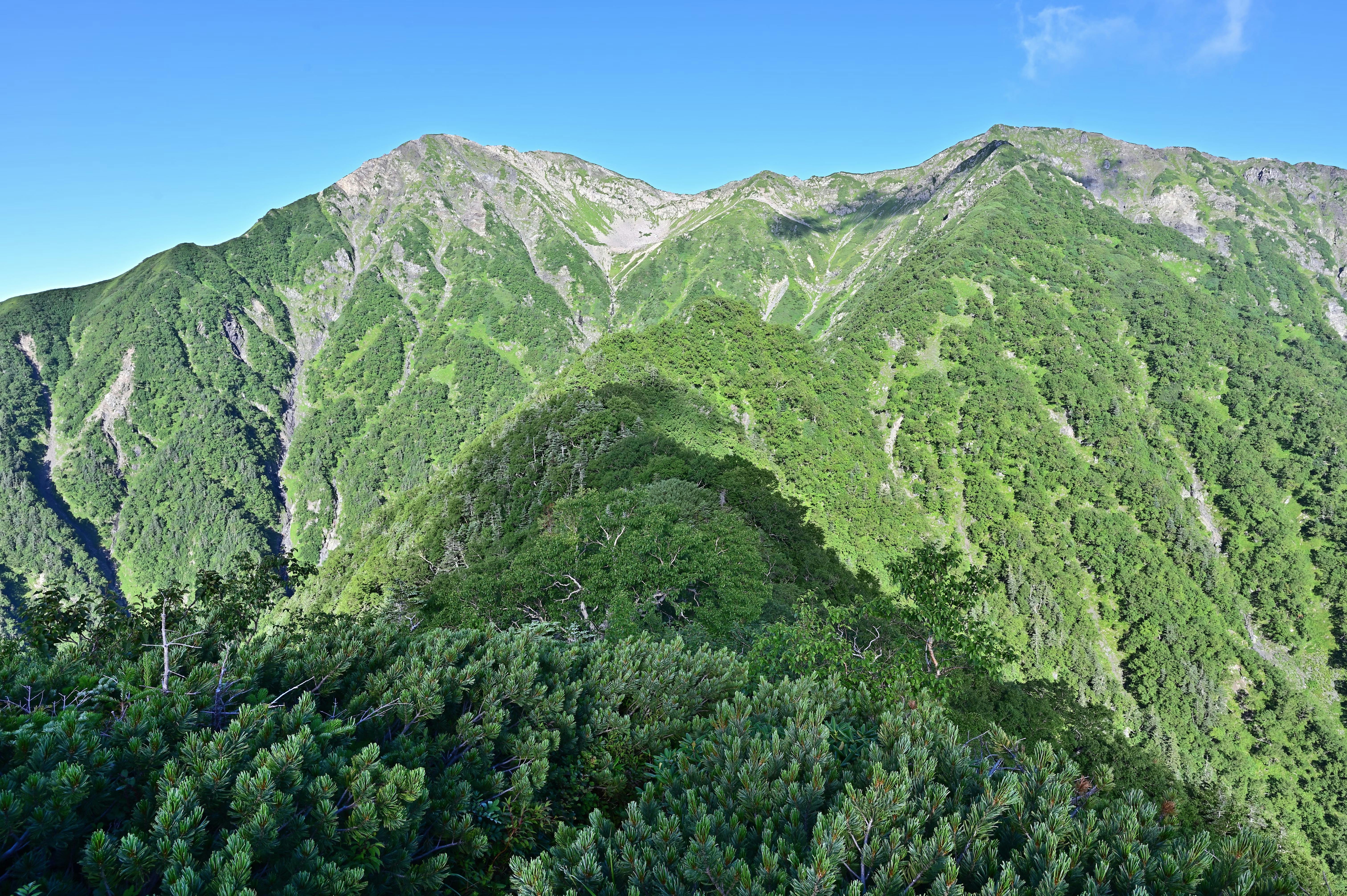 Lush green mountains under a clear blue sky, with dense vegetation covering the slopes and a mountain ridge in the foreground.