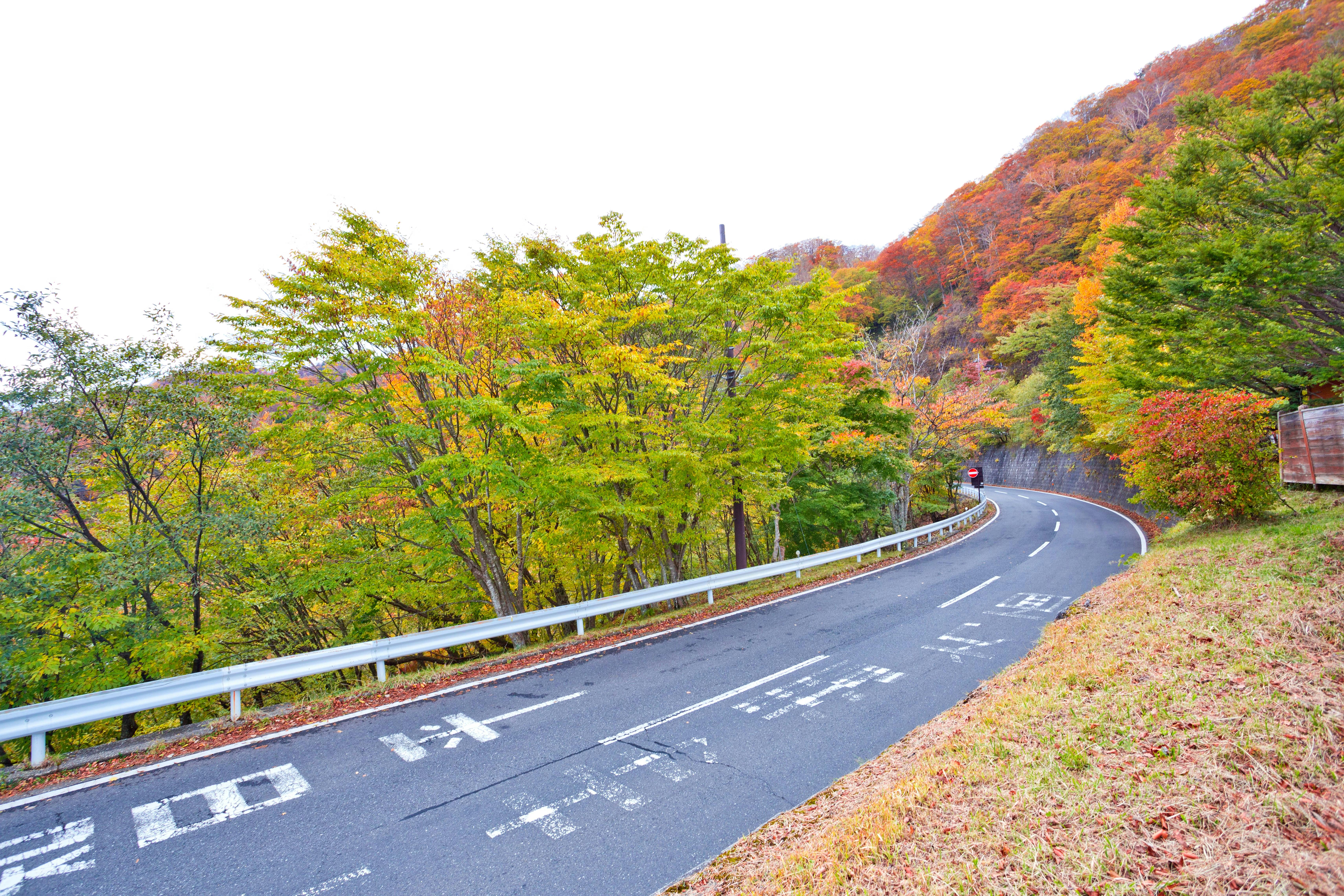 A winding road curves through a hilly landscape with green and autumn-colored trees on both sides, and painted white road markings. The sky is overcast, and the roadside grass is light brown.