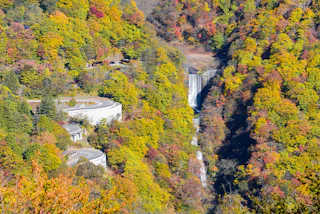 A winding mountain road and a tall waterfall surrounded by vibrant autumn trees in shades of yellow, orange, and green. The scene is set in a forested valley.