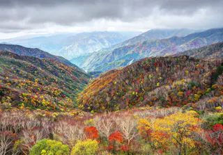 A vibrant mountain landscape in autumn with rolling hills covered in colorful foliage, including red, yellow, and orange trees. In the distance, misty mountains rise under a cloudy, overcast sky.