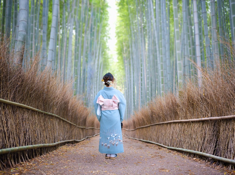 교토 발견 도시의 보물들을 위한 맞춤형 개인 투어