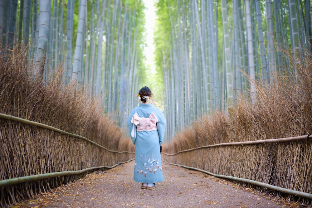 Arashiyama Bamboo Grove