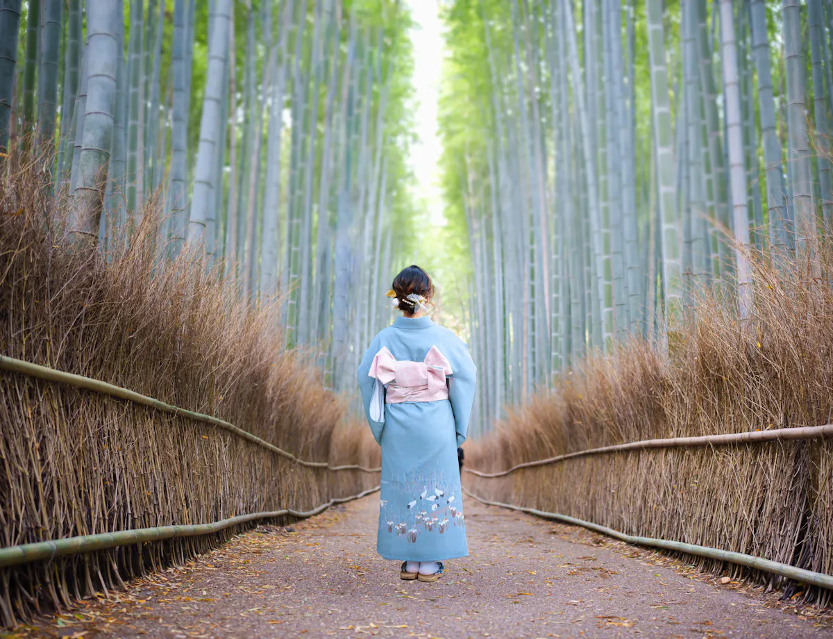 Arashiyama Bamboo Grove Arashiyama Bamboo Grove