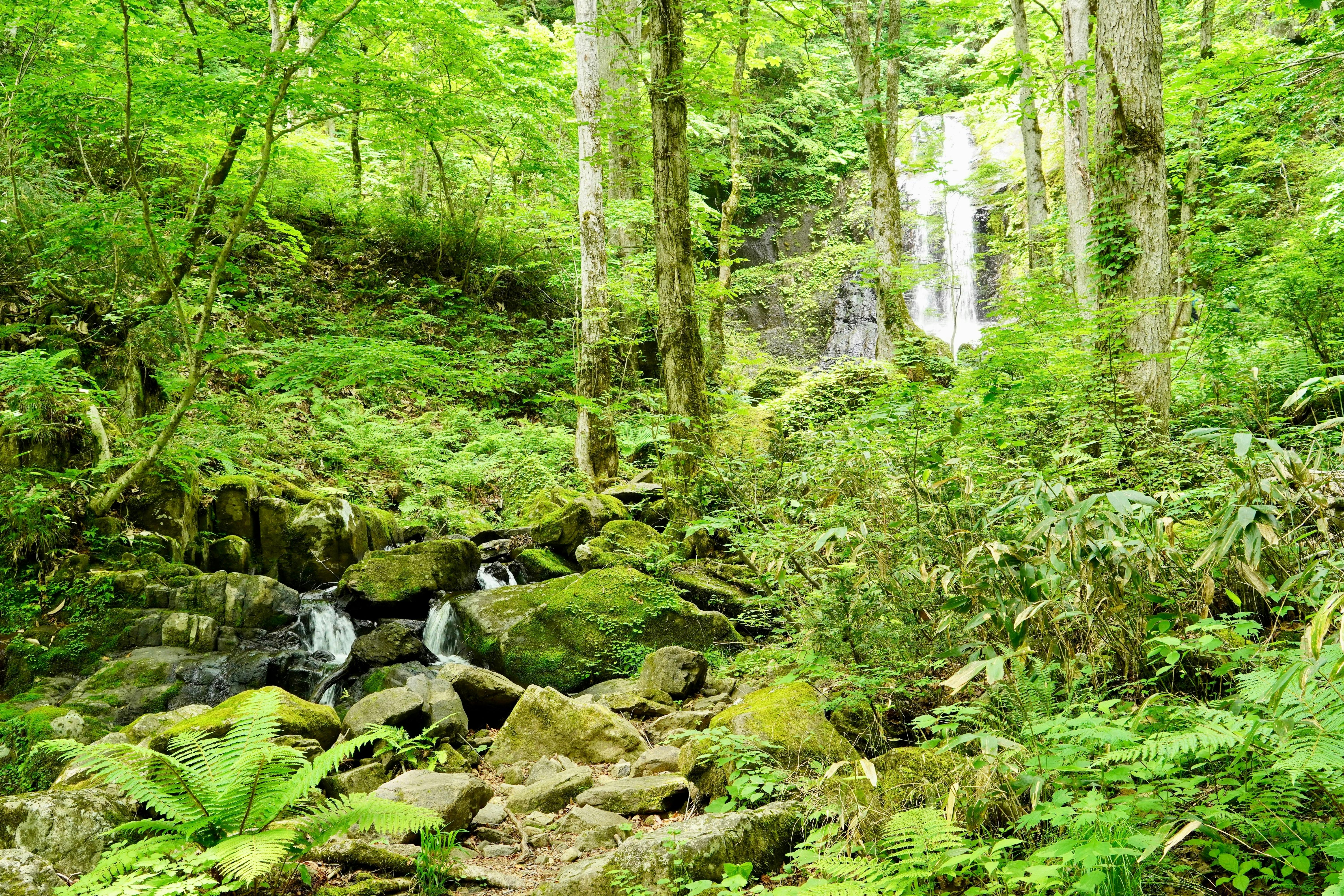 Utsue Forty-Eight Waterfalls