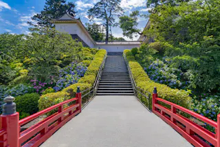 A red bridge leads to stone steps surrounded by lush greenery and blooming hydrangeas, with a traditional Japanese building and tall trees in the background under a blue sky.