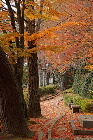 Shiroyama Park - Takayama