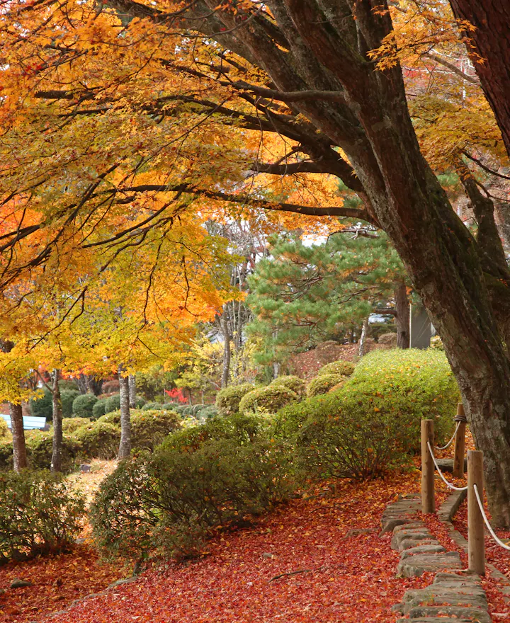 Shiroyama Park - Takayama Shiroyama Park - Takayama