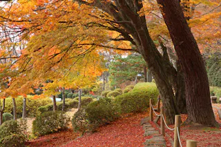 Shiroyama Park - Takayama